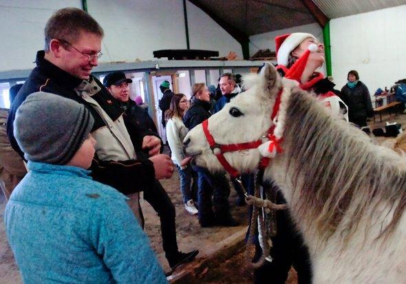 Welsh Mountain (sec A) Backerdales Gaia - Juleopvisning december 2011 billede 13