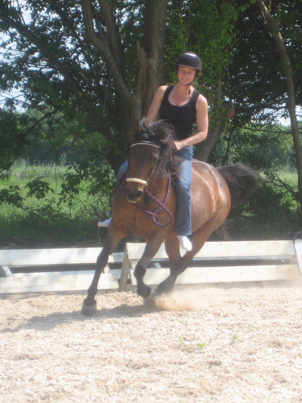 Anden særlig race Star (død september 2014) billede 5