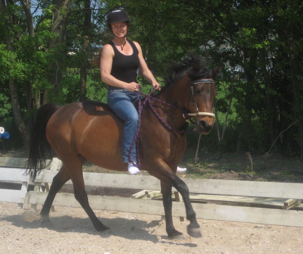 Anden særlig race Star (død september 2014) billede 7