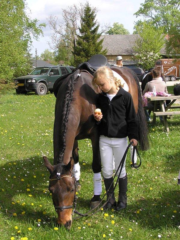 Anden særlig race Star (død september 2014) billede 2
