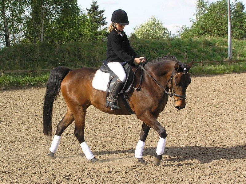 Anden særlig race Star (død september 2014) - Star og Celina til deres første stævne billede 1