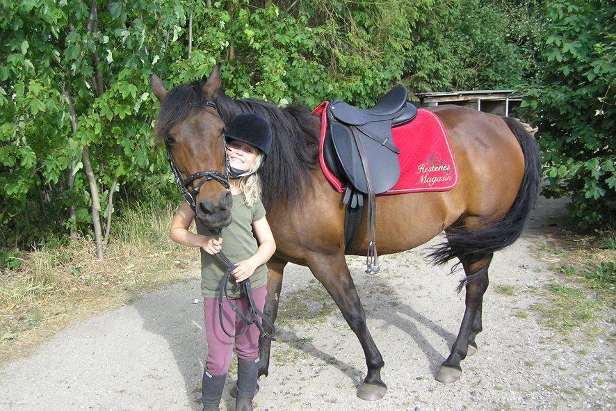 Anden særlig race Star (død september 2014) - Star lige da vi havde købt hende. Vi fik ret meget hest for vores penge :O) billede 10