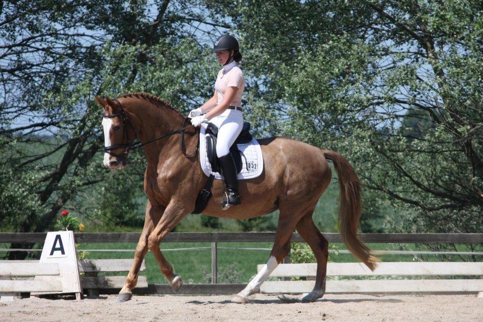 Dansk Varmblod Robiane-Elmbo - 27. maj 2012 LA4 på FAK Dommeren gav tilladelse til at ride uden jakke fordi der var VAMRT  billede 5