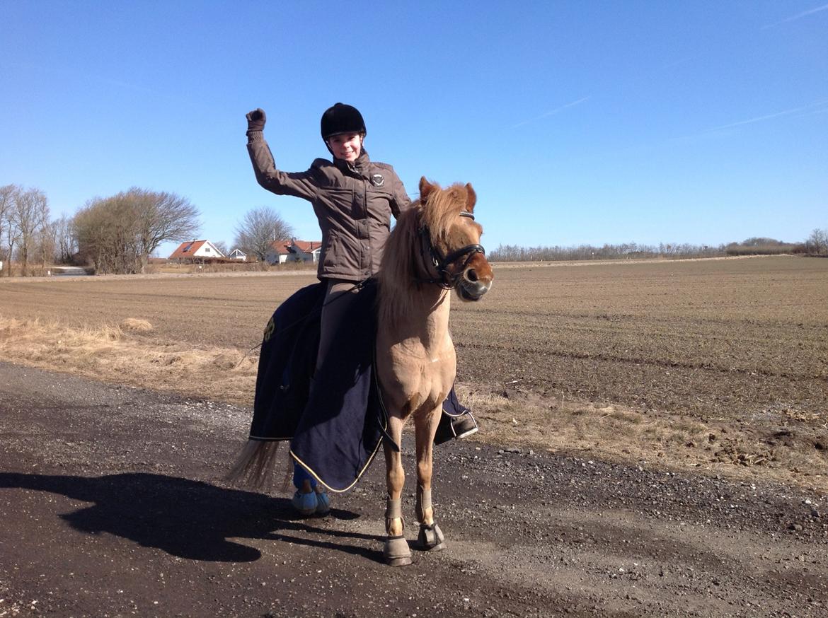 Anden særlig race Laban billede 18