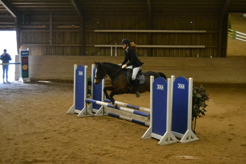 DSP Ringo - LD 0 fejl, 17 Mar 2013 billede 2