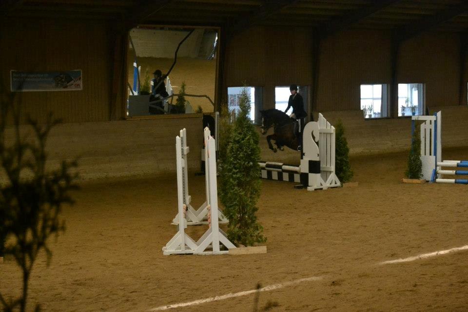 DSP Ringo - LD 0 fejl, 17 Mar 2013 billede 4