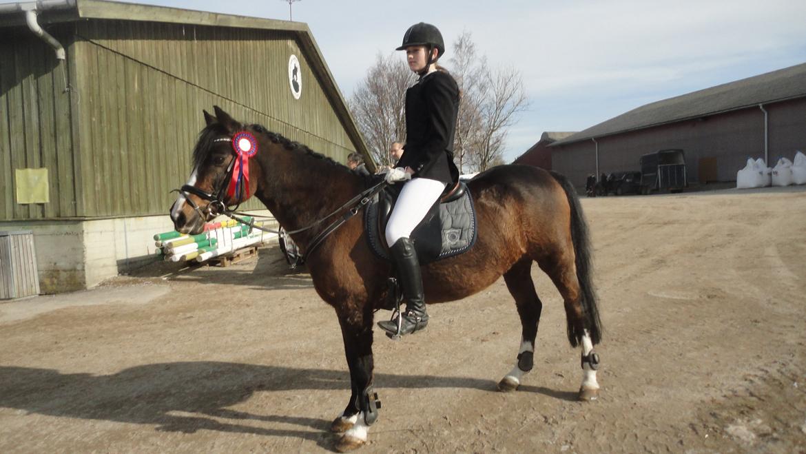 DSP Ringo - LD 0 fejl, 17 Mar 2013 billede 3