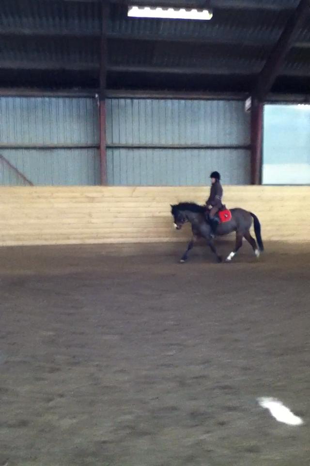 Anden særlig race Miranda *Muffin* - billede 3og der her billede er taget fra en video, så kvaliteten er lidt dårlig! :D <3 foto: Caroline billede 4
