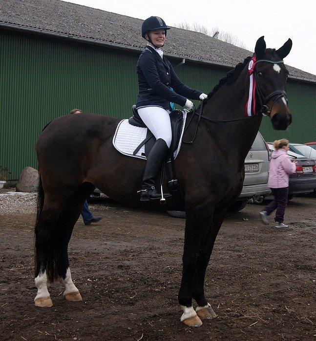 Dansk Varmblod Cappuccino - Klubmester 2013

Billedet af taget af Emily Lundquist Mikkelsen, lånt fra SAR's hjemmeside billede 13