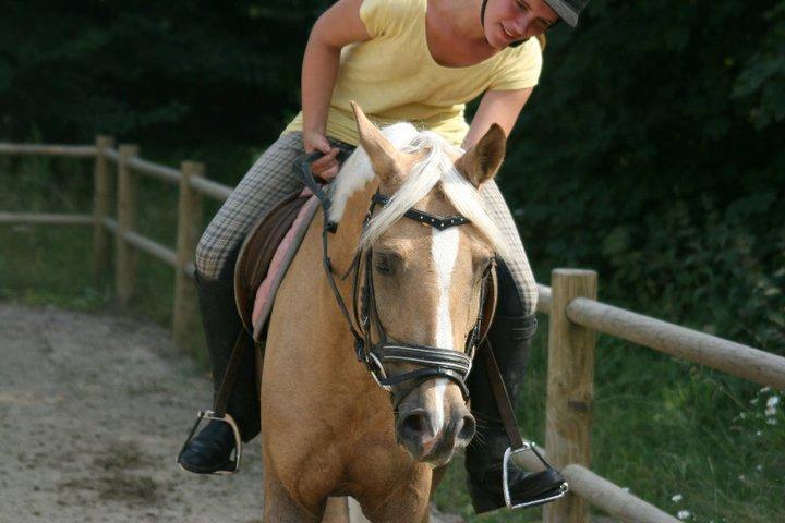 Palomino Gloria - 19) Den pony gjorde mig altid glad, jeg fik altid den bedste ridetur på den dejlige pony! <3 Miss U billede 19