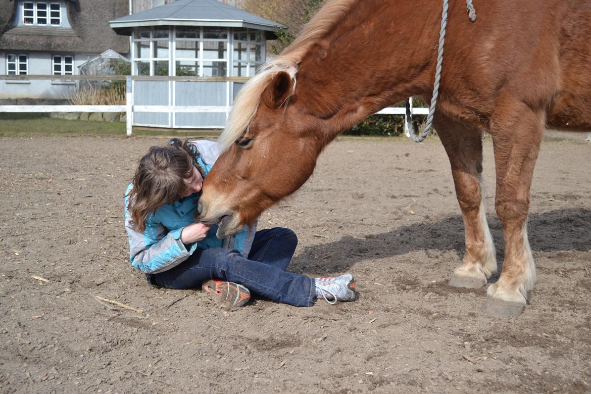 Haflinger Monday Vanja R.I.P - Vanja og mig <3 billede 1
