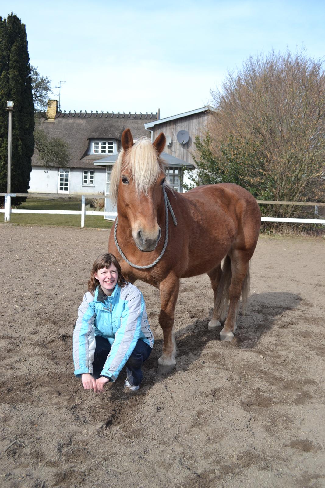 Haflinger Monday Vanja R.I.P - Vanjaaaaa <3 billede 3