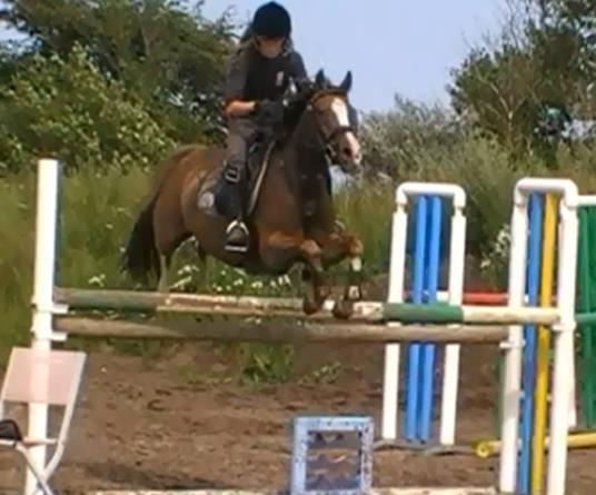 Hollandsk Sportspony Pearle - Ma Video-  https://www.facebook.com/photo.php?v=1559903646417&set=vb.1500064122&type=3&theater billede 20