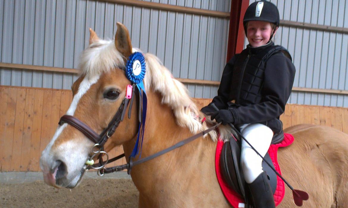 Haflinger Sissi - Søde Sissi og mig til sløjfespringstævne:-)
April 2013 billede 10