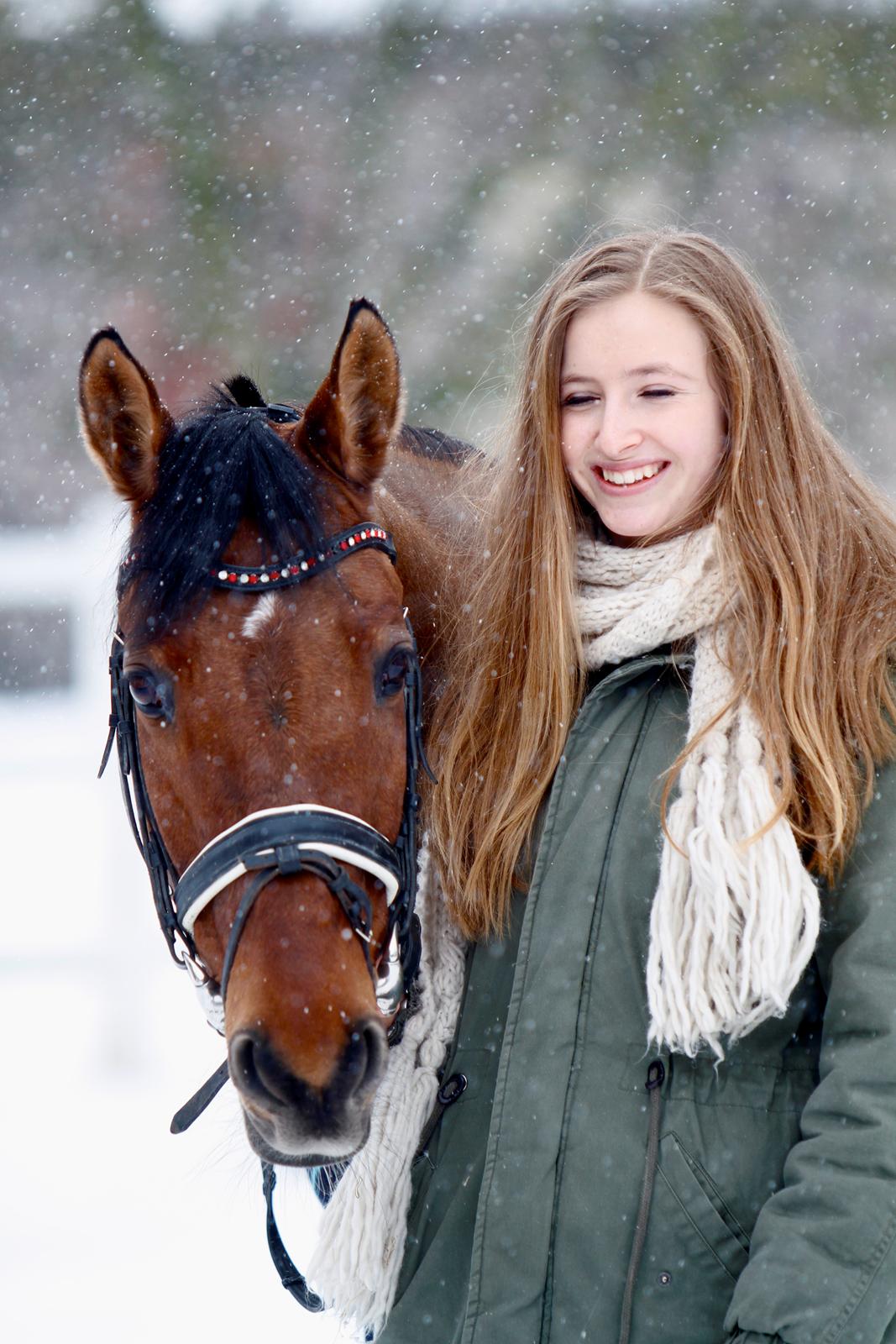 Tysk Sportspony HB Dreamgirl billede 19