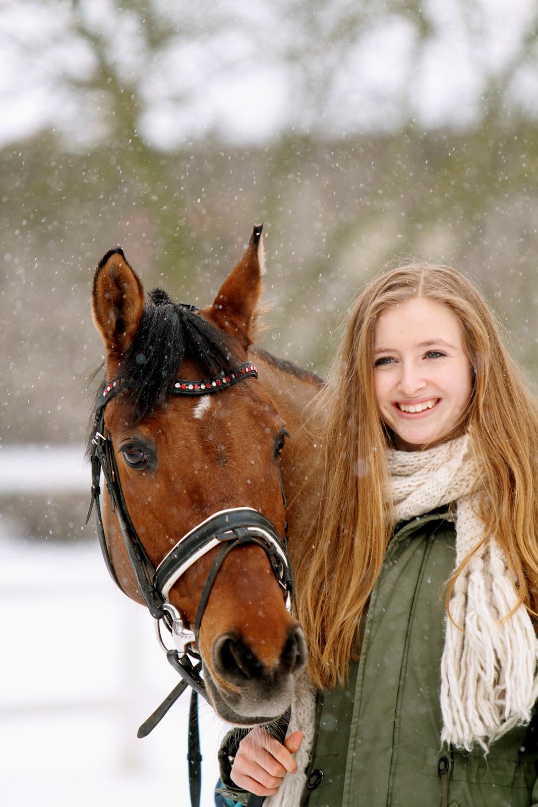 Tysk Sportspony HB Dreamgirl billede 1