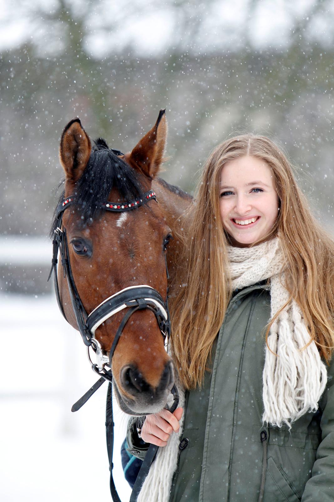 Tysk Sportspony HB Dreamgirl billede 10