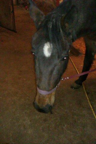 Traver Meranda Act billede 9