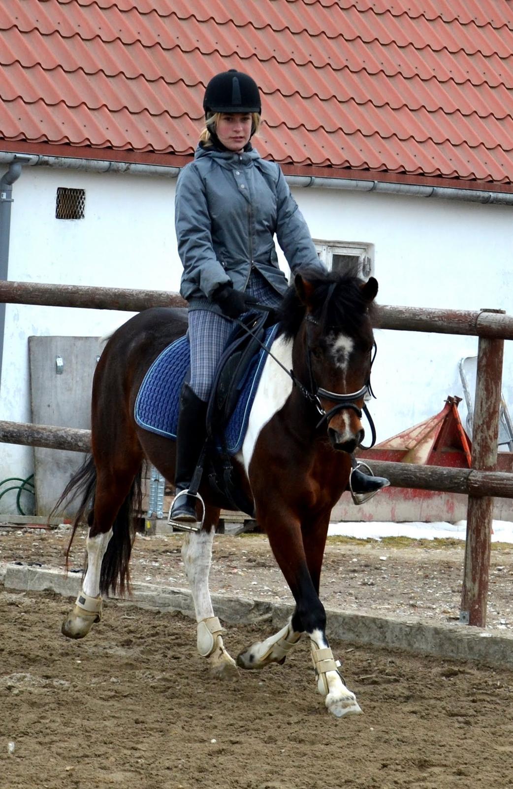 Anden særlig race Ameysing <3 billede 5