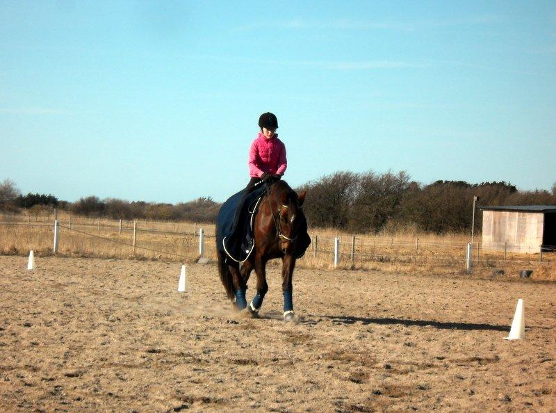 Connemara Quiva <3 - Q kører den mørkeblå stil :D - April 2013 billede 37