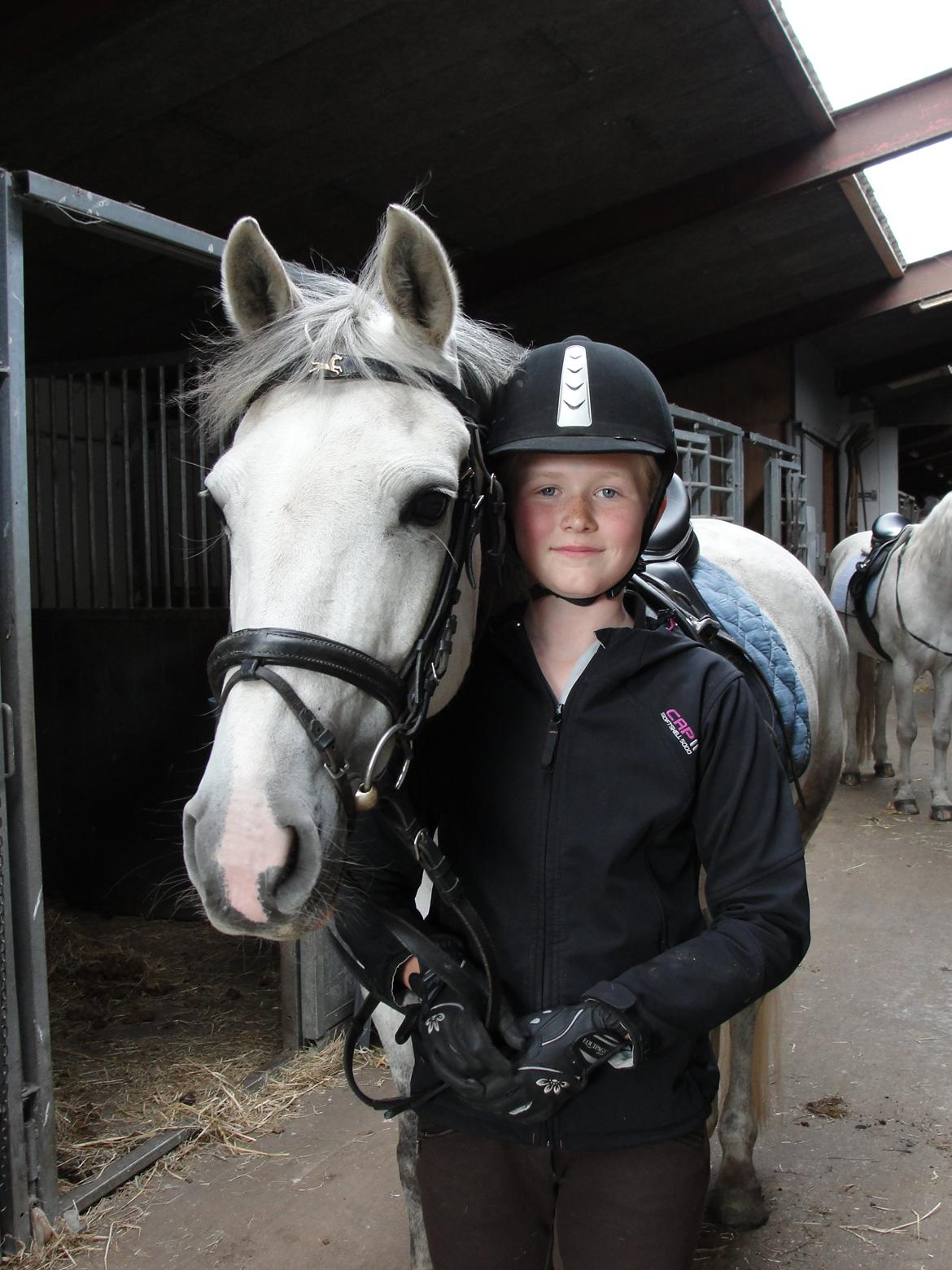 Hollandsk Sportspony V.P. Hestia - Hestia og jeg (var trær den dag) billede 3