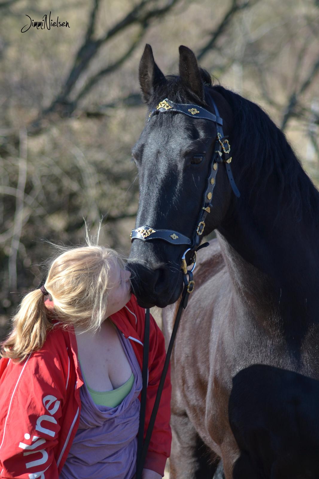 Frieser Joop Fan'e Sjongedyk "faust" billede 11