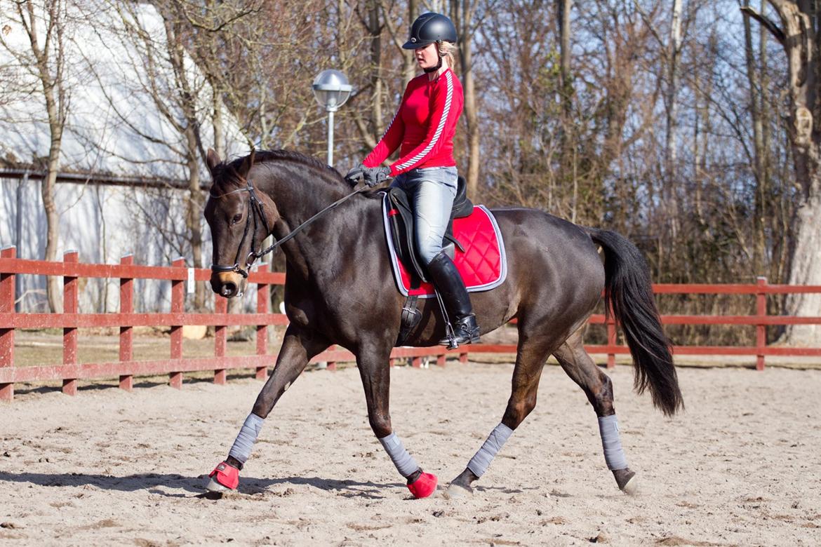 Anden særlig race Paskal - April 2013 - Palle og Anna billede 8