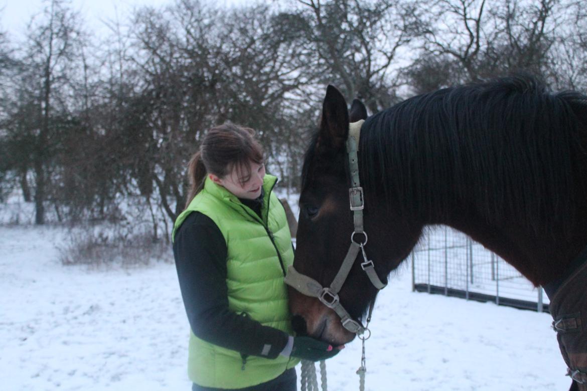 Anden særlig race Henriksøgaards Finaly May - Første gang jeg havde hende ude :) billede 5