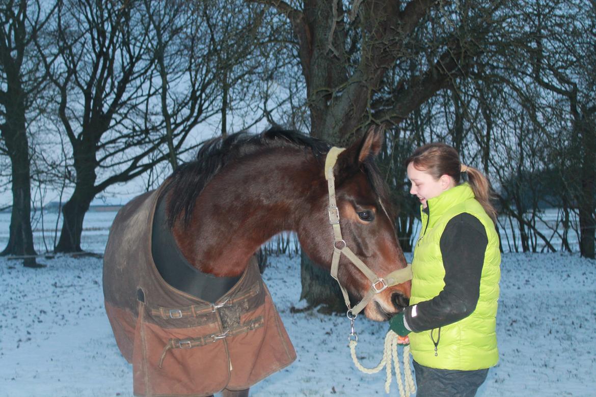 Anden særlig race Henriksøgaards Finaly May billede 6