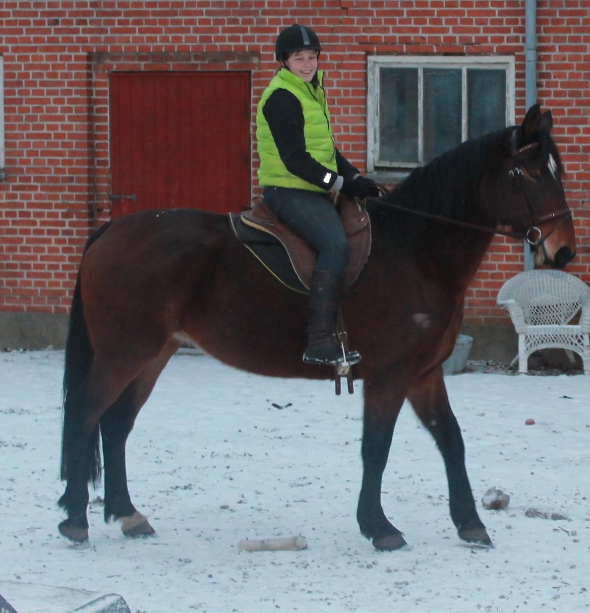 Anden særlig race Henriksøgaards Finaly May - Vores første ridetur :) billede 7