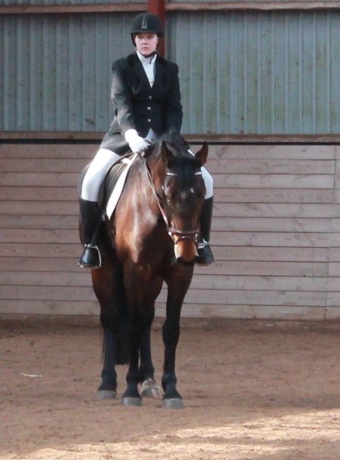 Anden særlig race Henriksøgaards Finaly May - Det første stævne på hende:) billede 9