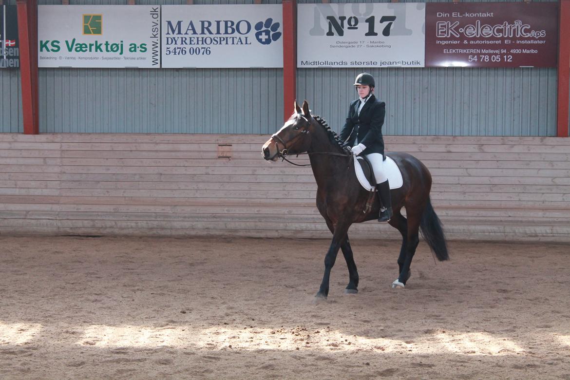 Anden særlig race Henriksøgaards Finaly May billede 10