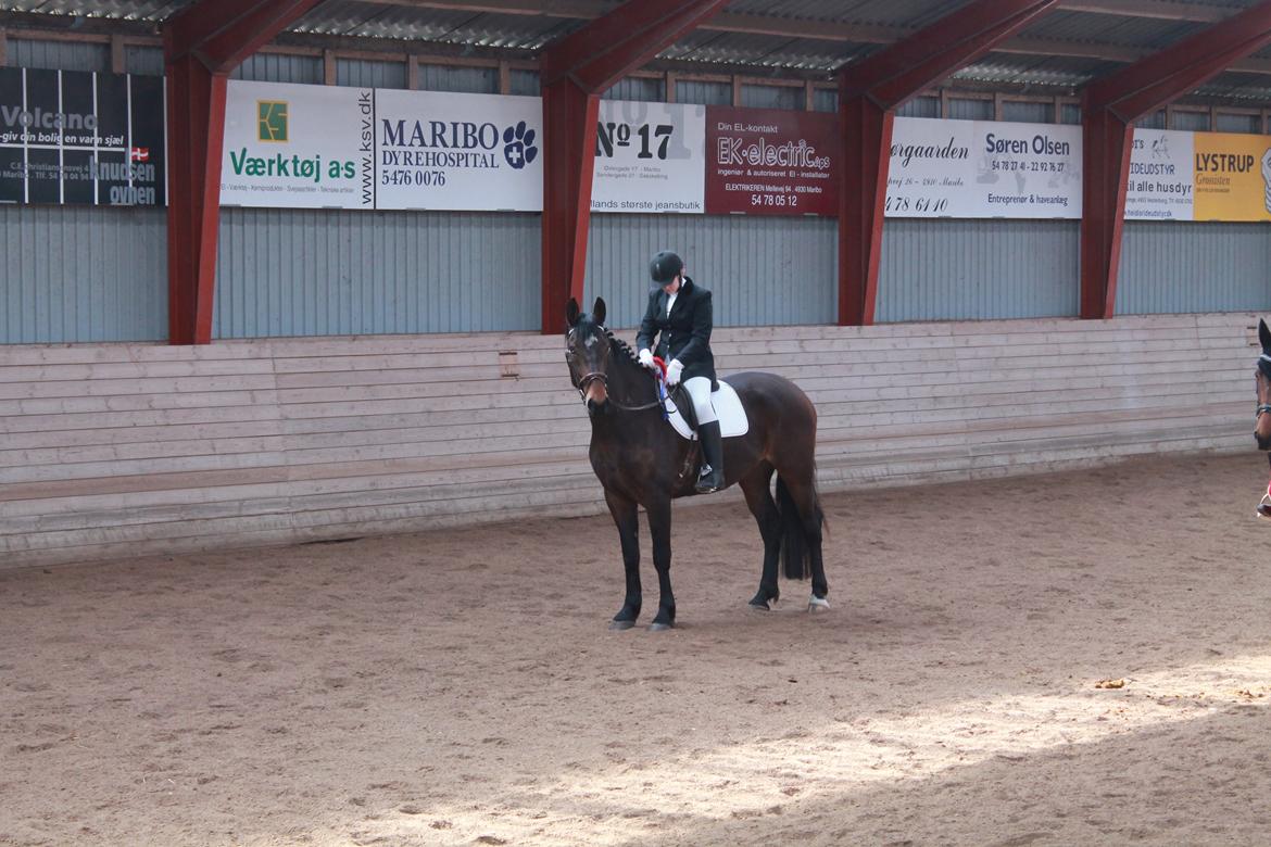Anden særlig race Henriksøgaards Finaly May billede 14