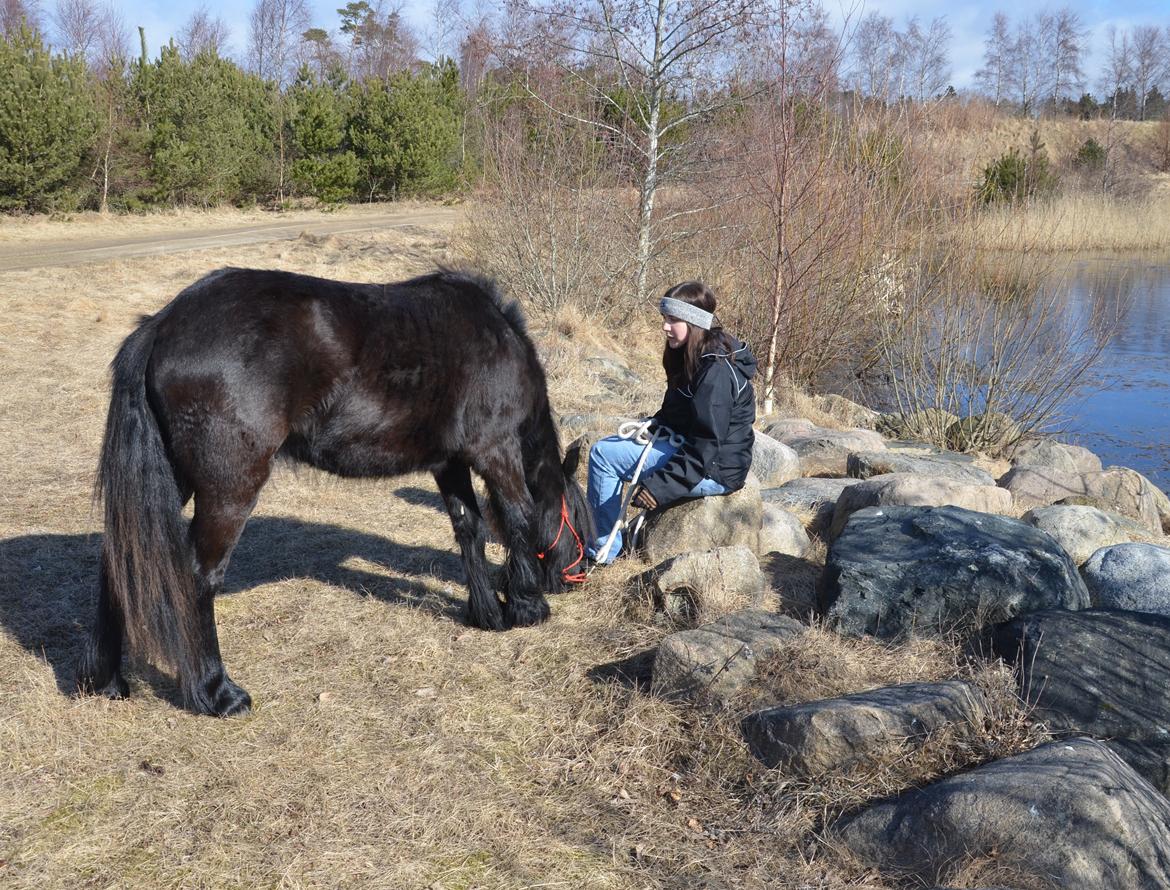 Fell pony Strandgaardens Black Jack - På tur ved søerne - vi tager en pause og nyder det dejlige vejr. :-) billede 8