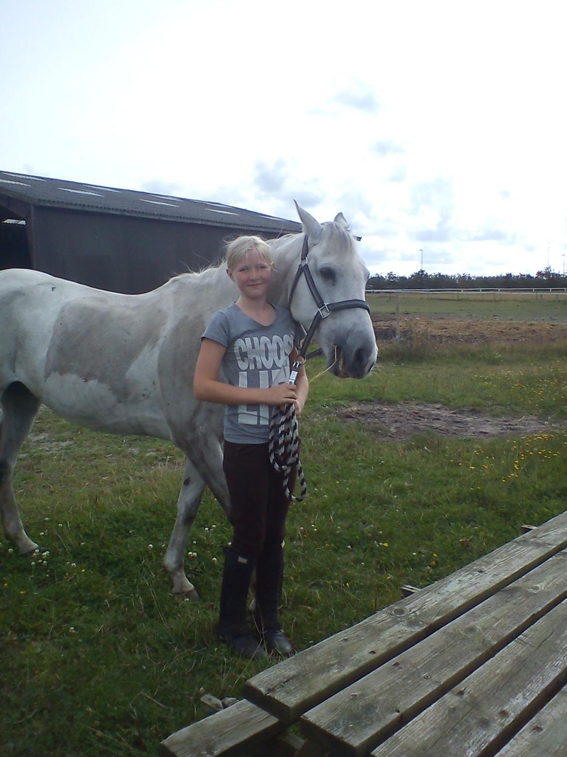 Hollandsk Sportspony V.P. Hestia - efter en god times undervisning :) billede 7