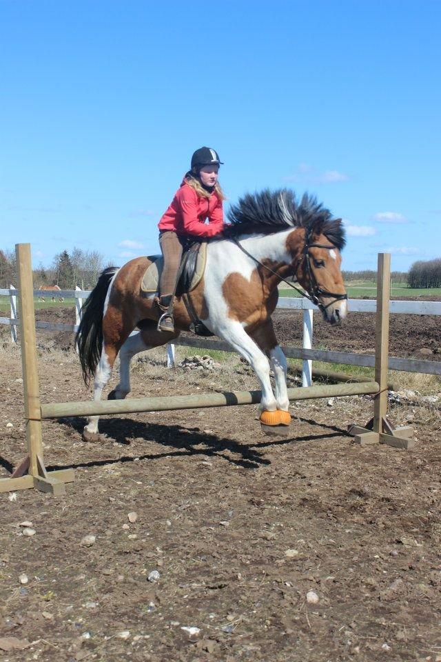 Pinto Graffiti - 13. Spring igen <3 billede 13