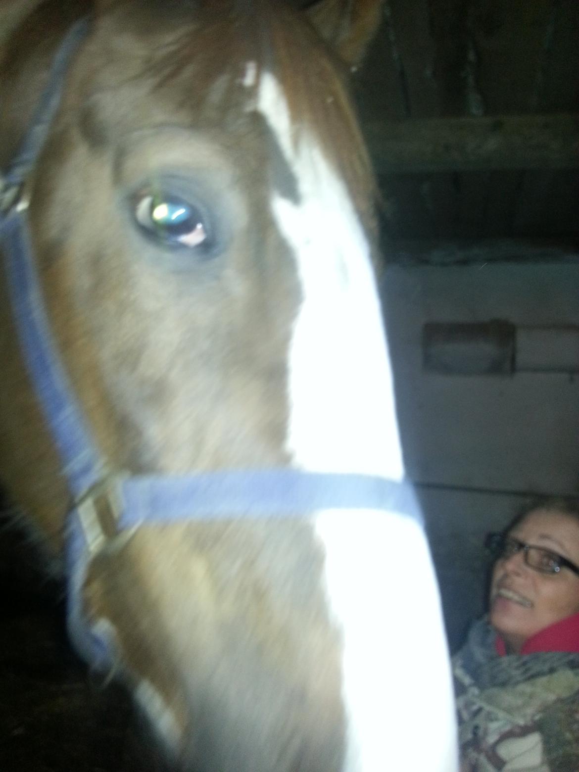 Pinto Whitney Lightfoot - Nysgerrig ung dame billede 4