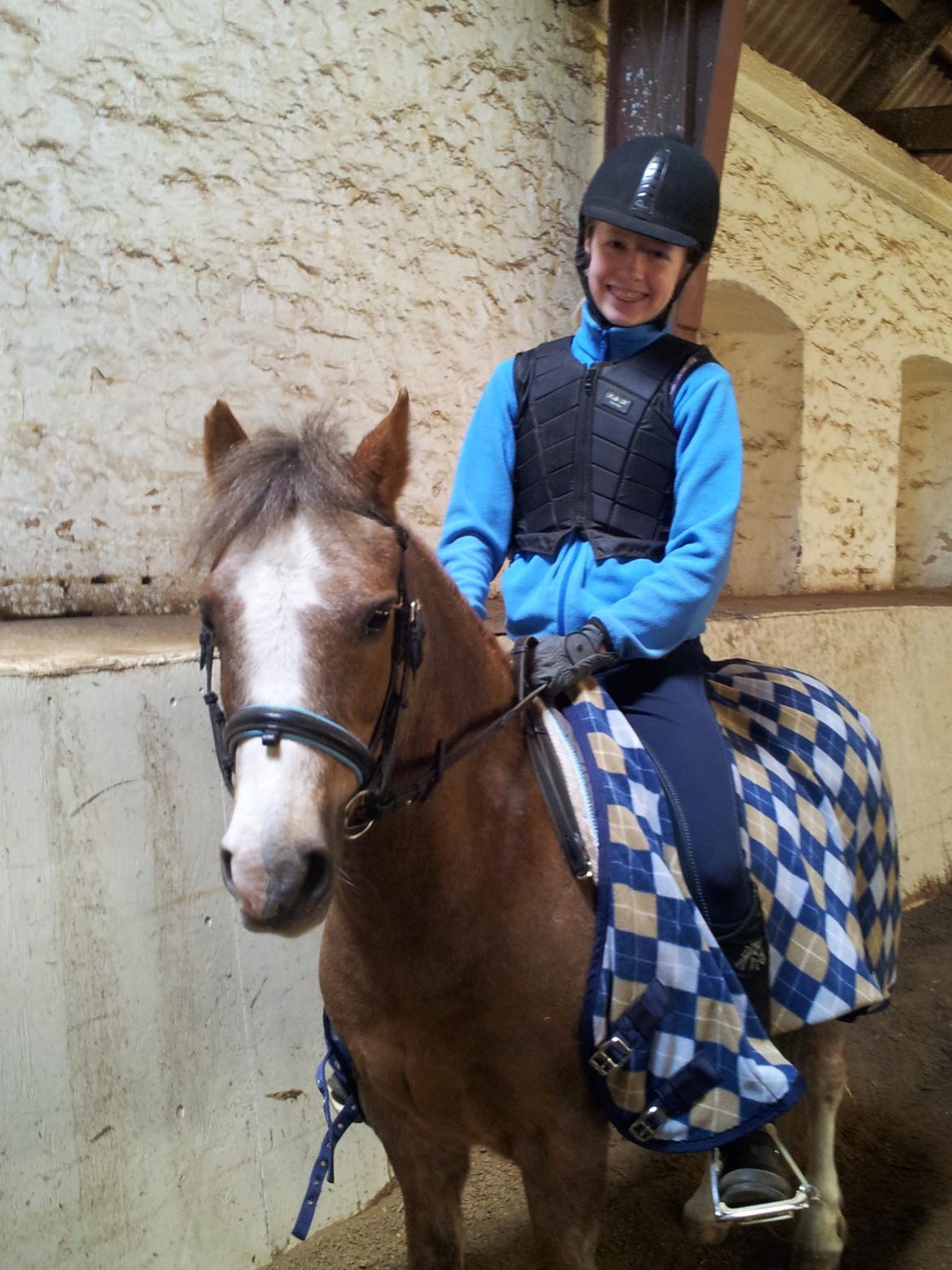 Dartmoor Skovbrynets Bastjan billede 14