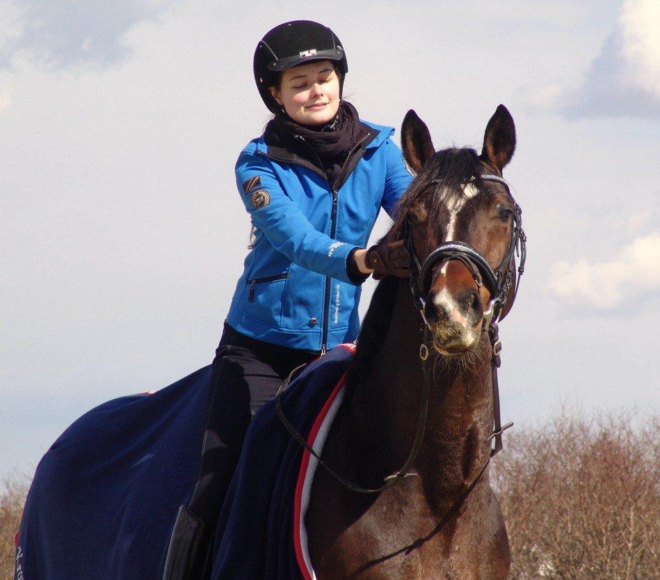 Dansk Varmblod Kronborgs Deco - HINGST - 6. april 2013 billede 16