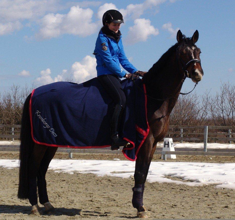 Dansk Varmblod Kronborgs Deco - HINGST - 6. April 2013 billede 17