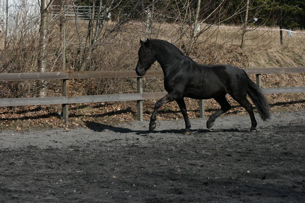Frieser Jisk fan è Drifte billede 14
