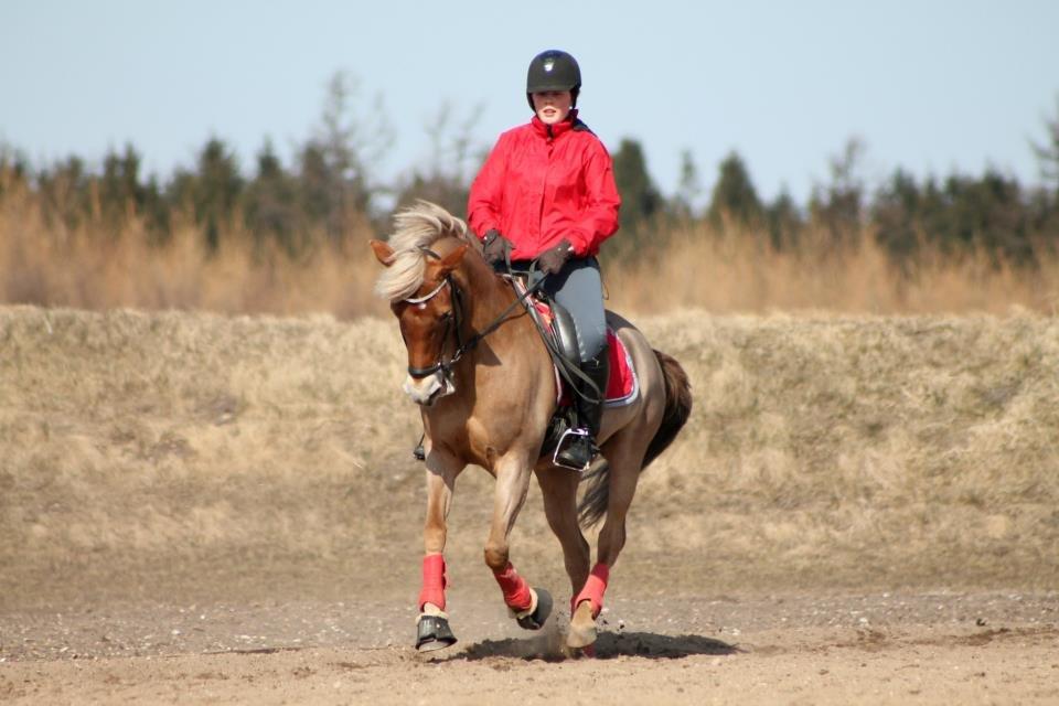 Anden særlig race Kebbe  - Velkommen til Kebbes profil! billede 1