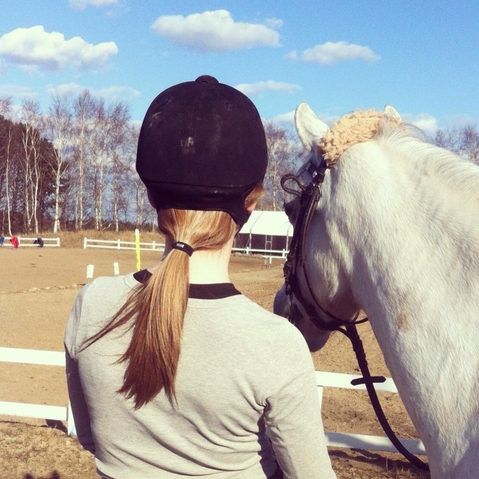 Shagya Araber (SH) Emely - I will always love you! <3 billede 10