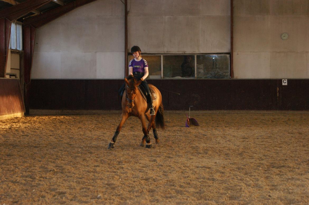 DSP Tofts Gambler billede 11