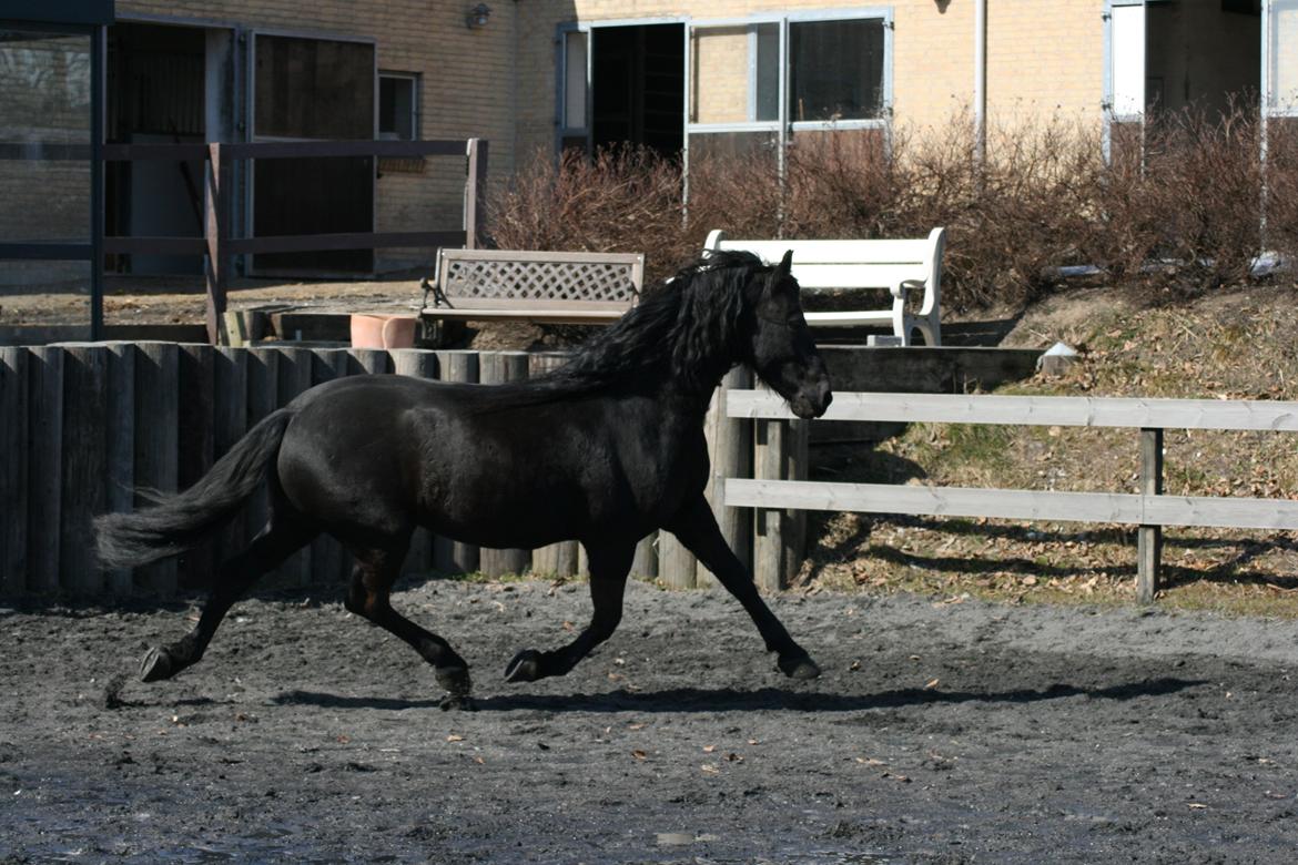 Frieser Jisk fan è Drifte billede 19