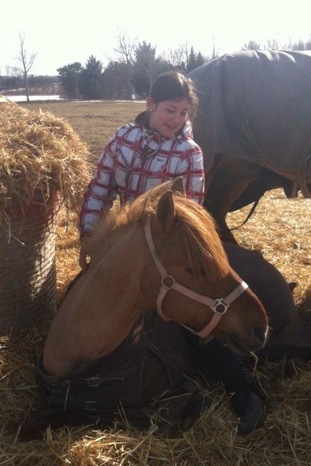 Anden særlig race Lucas/Alf - elsker den pony! 
foto: Celina billede 7