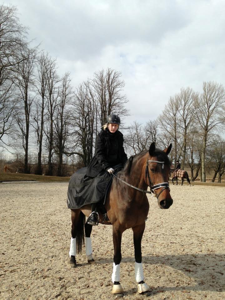 Holstener Cypresgårdens Coriane - D. 6 april 2013, efter Hasse Hoffmann kursus.  billede 19