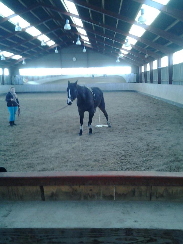 Traver Fit [med ejer] billede 7