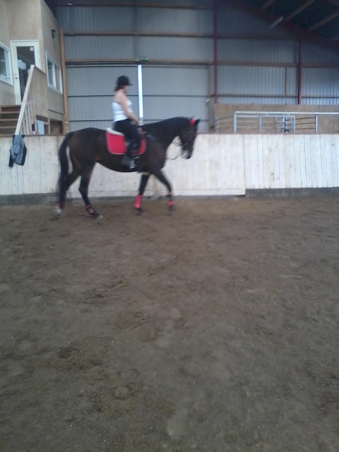 Traver Fit [med ejer] billede 4