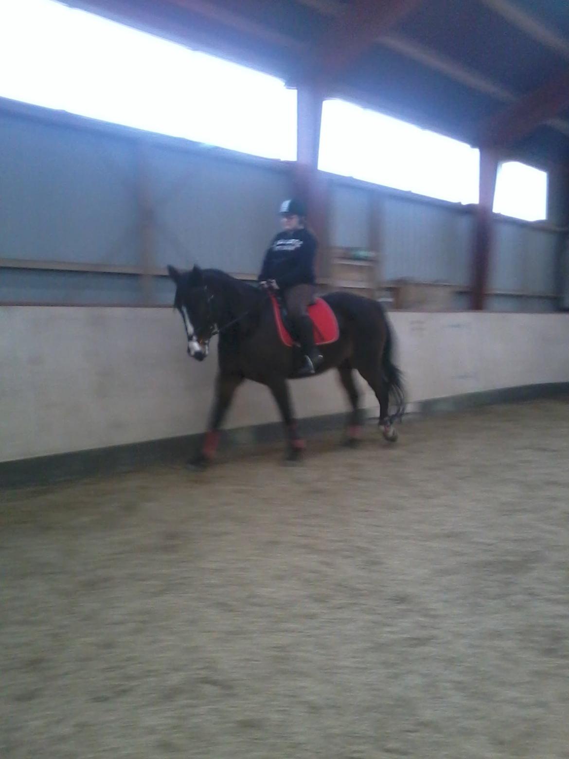 Traver Fit [med ejer] billede 6